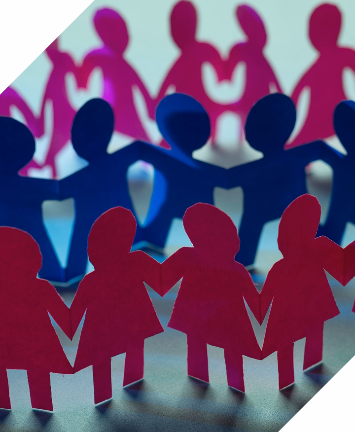 Entidades ciudadanas y asociaciones